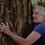 Los médicos confirman que abrazar un árbol hace reír a los gorriones